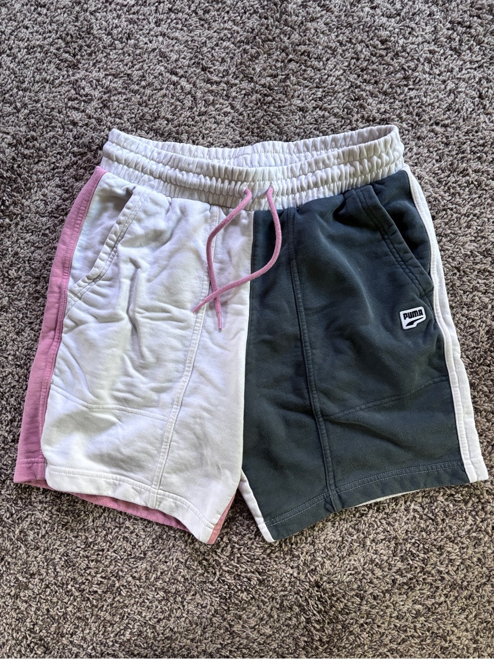 Puma Men’s Colorblock Sweatshorts